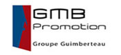 GMB Promotion
